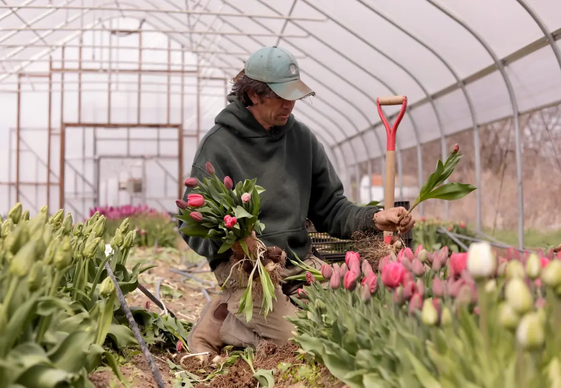 Northeast Weather Swings Threaten Crops — Weather