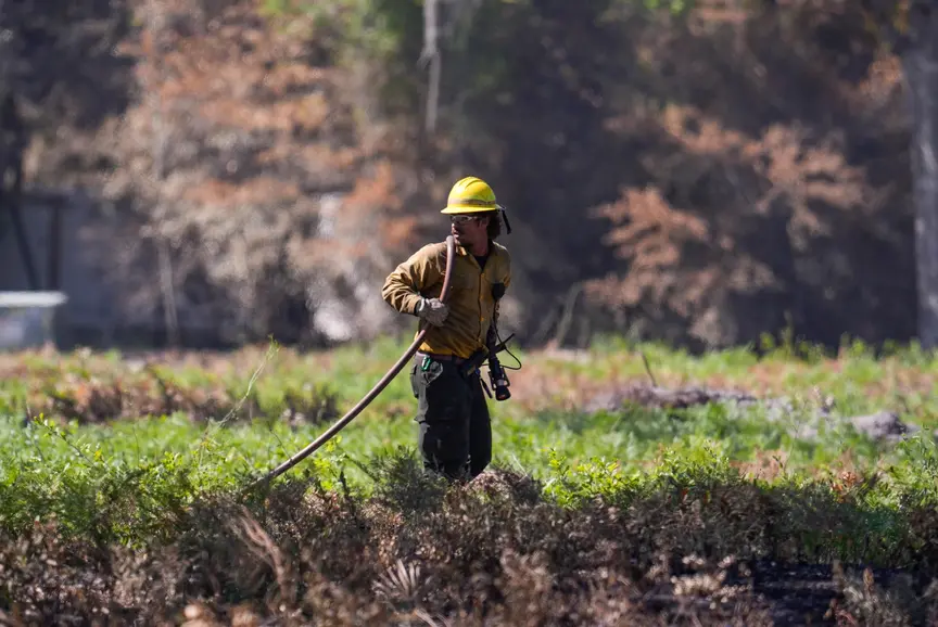 Wildfires Surge in Eastern US Amid Climate Shift — Weather